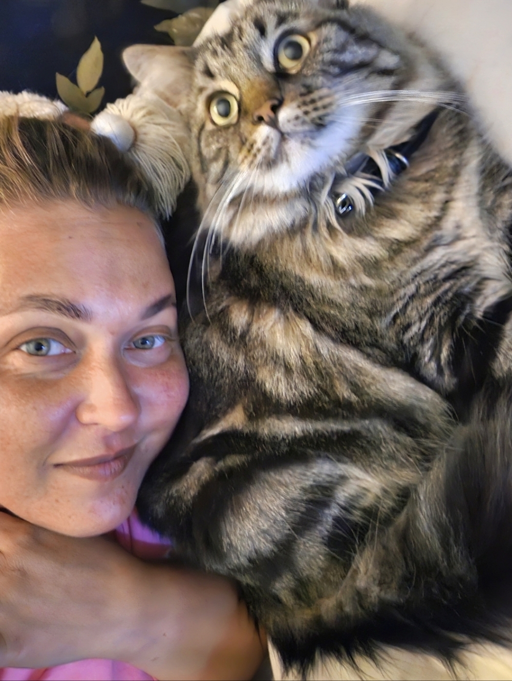 💔05/23/2026 Tyson My Tiger💔